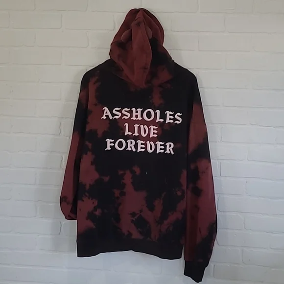 A-Holes Live Forever hoodie - Picture 3 of 4